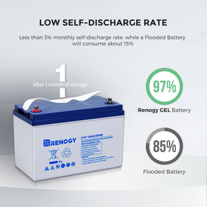 RENOGY 12 Volt 100Ah Deep Cycle Hybrid GEL Battery