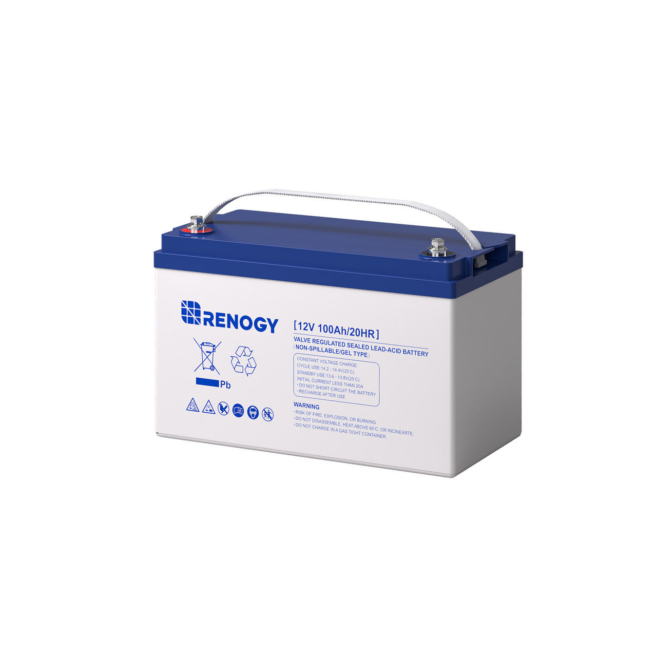 RENOGY 12 Volt 100Ah Deep Cycle Hybrid GEL Battery